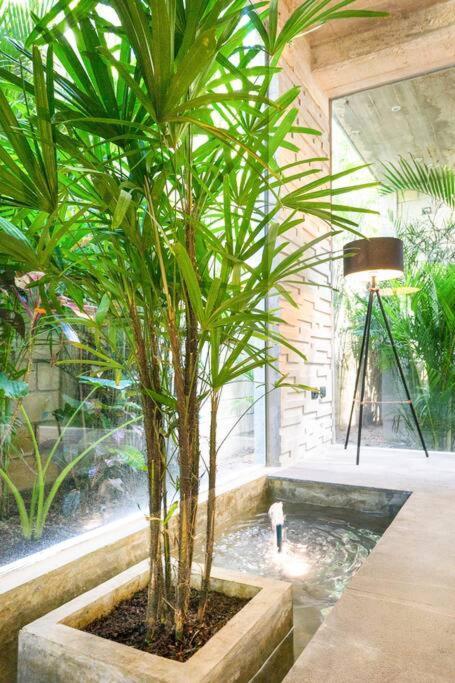 Villa Nimi Architectural Masterpiece Experience Private Pool & Great Concierge Service By Hum Living Тулум Экстерьер фото