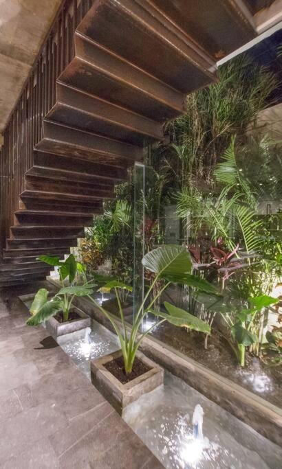 Villa Nimi Architectural Masterpiece Experience Private Pool & Great Concierge Service By Hum Living Тулум Экстерьер фото
